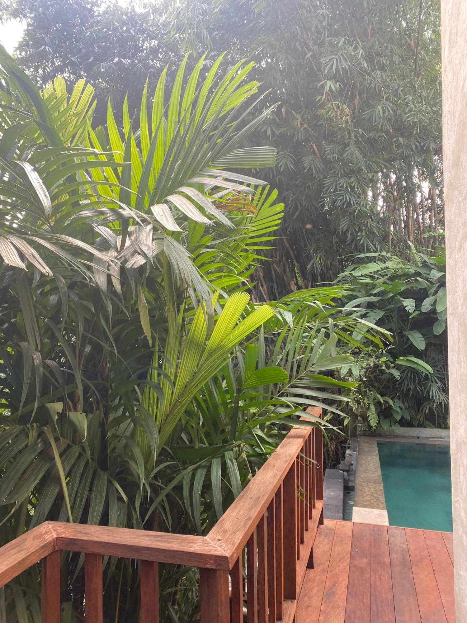 Villa Purnamasari Ubud  Luaran gambar